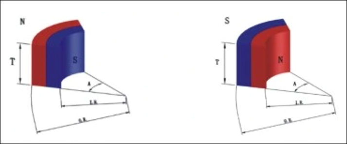 Radially paired magnetization of curved magnets