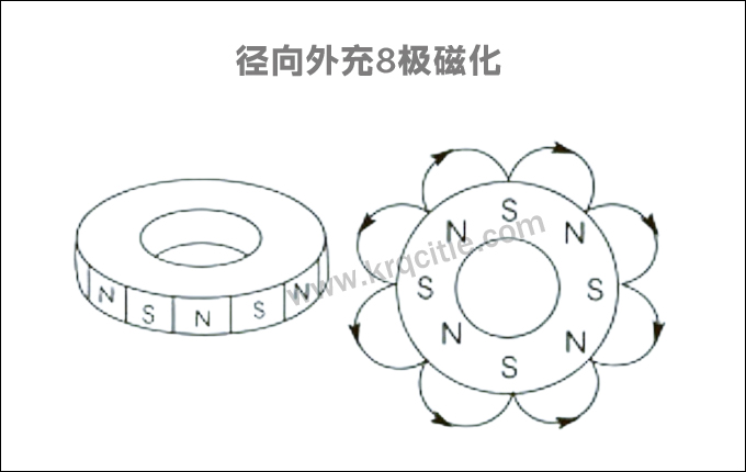 ring magnet magnetized by a radial 8 poles