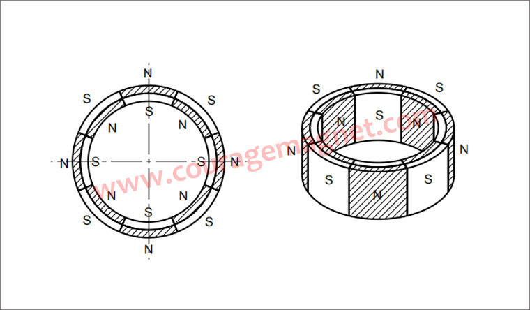 4 Pair Pole 8 Pole Multi-Pole Ring Magnet Pole Distribution