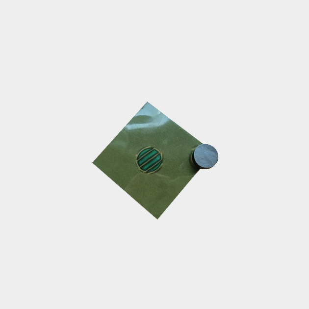 Double sided axial 4 pole circular ferrite magnet D15mm 20 Double sided axial 4 pole circular ferrite magnet D15mm 20
